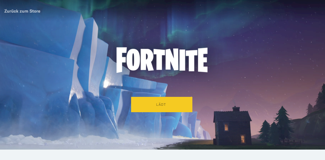 Fortnite can t be started or installed